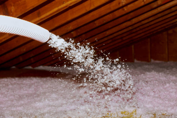 Best Attic Insulation Installation  in Robersonville, NC