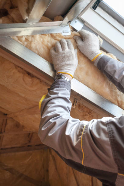 Best Attic Insulation Installation  in Robersonville, NC