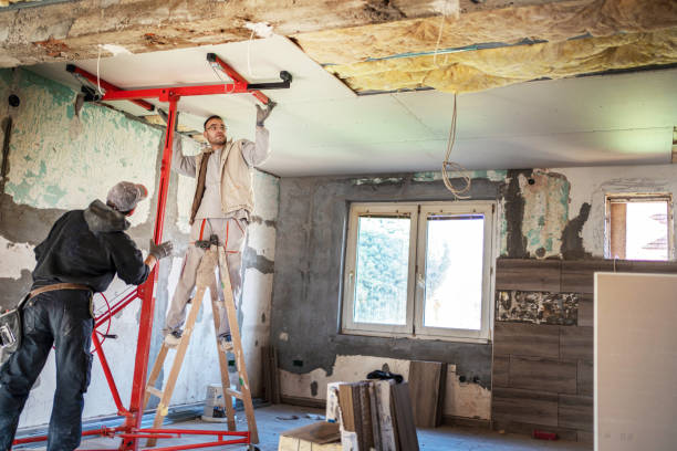 Best Insulation Removal  in Robersonville, NC