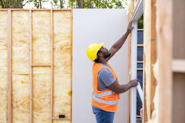 Best Cellulose Insulation  in Robersonville, NC