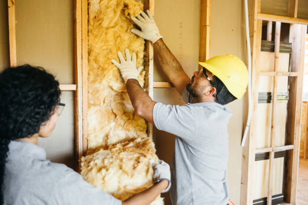 Professional Insulation Contractor in Robersonville, NC