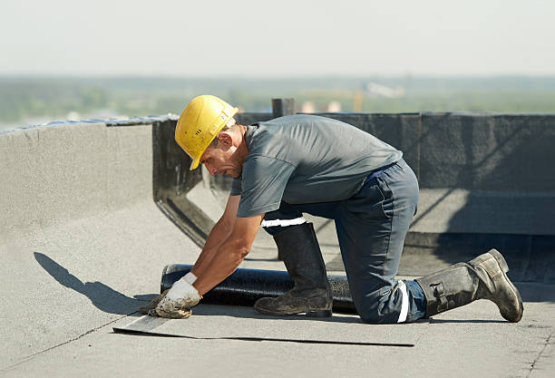 Best Crawl Space Insulation  in Robersonville, NC