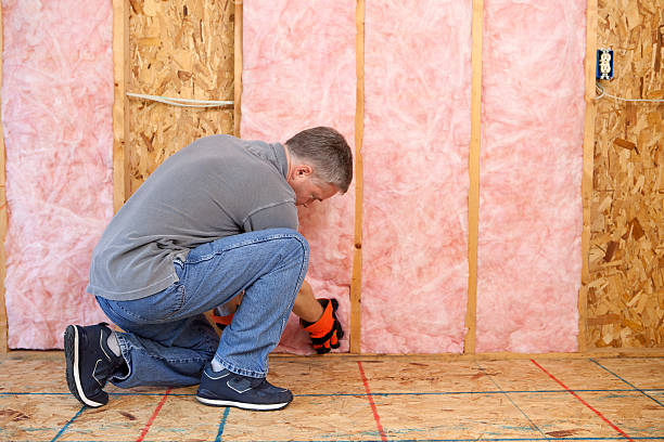 Best Wall Insulation Contractor  in Robersonville, NC