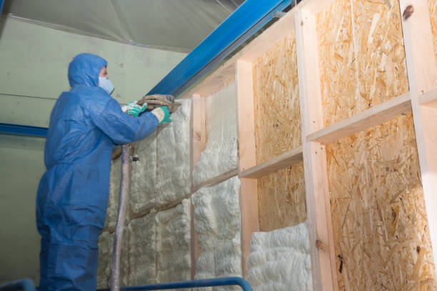 Best Insulation Inspection Services  in Robersonville, NC